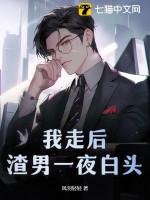 风羽轻轻我走后渣男一夜白头