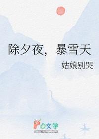 除夕夜暴雪天txt
