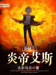 海贼王之炎神